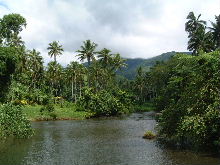 Landschaft in Taveuni   255 kB